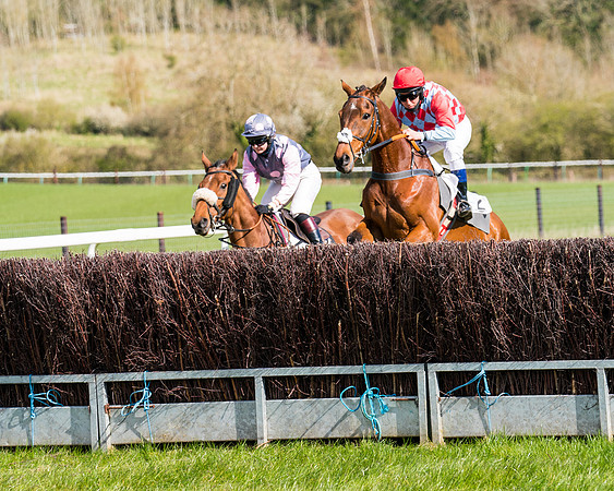 Race 7 - Maiden-33