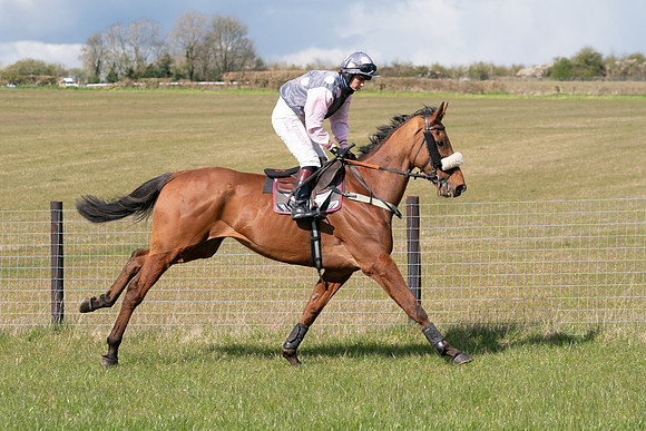 Race 7 - Maiden-31