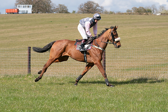 Race 7 - Maiden-28