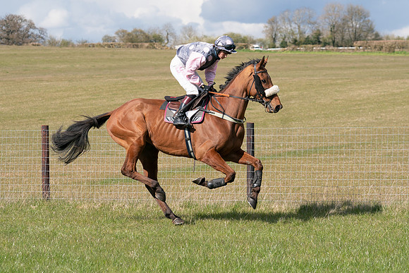 Race 7 - Maiden-29