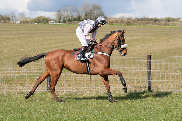 Race 7 - Maiden-30