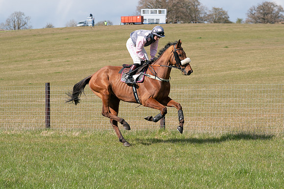 Race 7 - Maiden-26