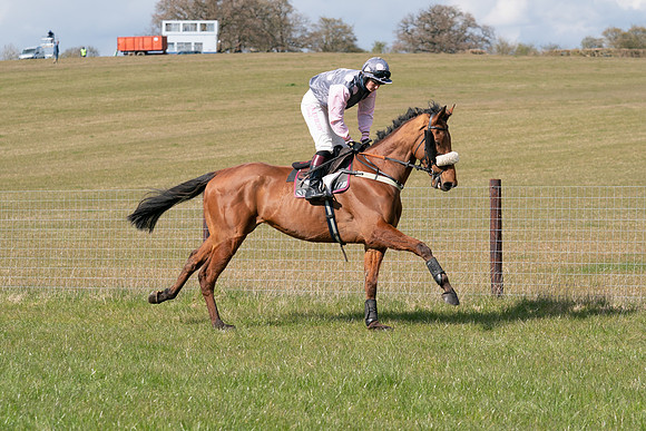 Race 7 - Maiden-27