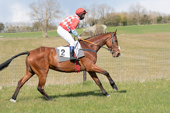 Race 7 - Maiden-25