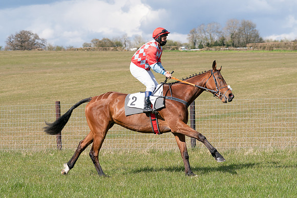 Race 7 - Maiden-23