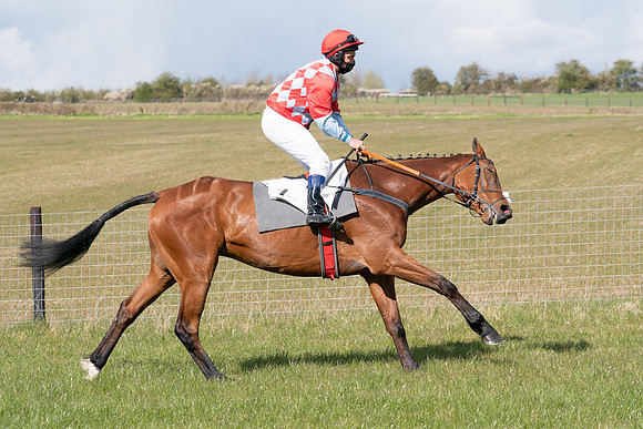 Race 7 - Maiden-24