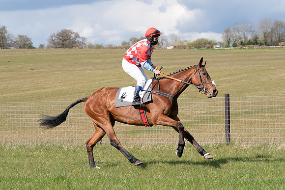 Race 7 - Maiden-22