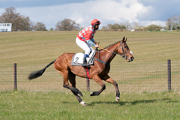 Race 7 - Maiden-21