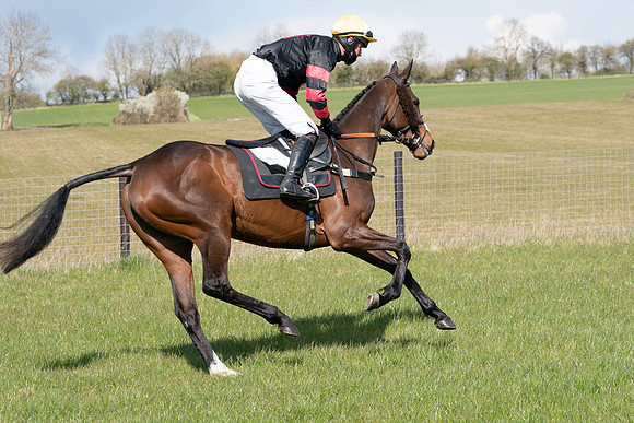 Race 7 - Maiden-18