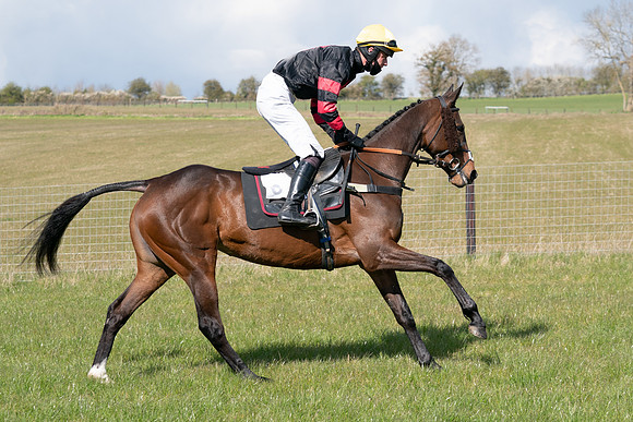 Race 7 - Maiden-16
