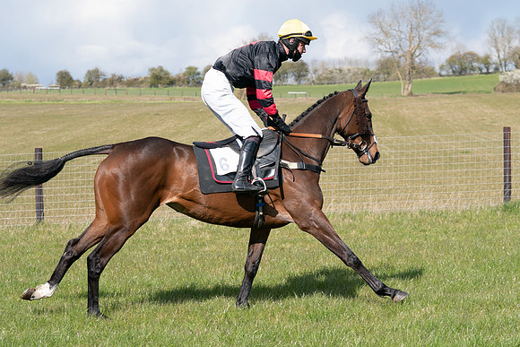 Race 7 - Maiden-17
