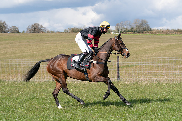 Race 7 - Maiden-13