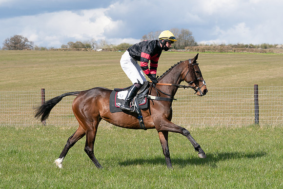 Race 7 - Maiden-14