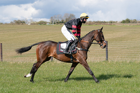 Race 7 - Maiden-15