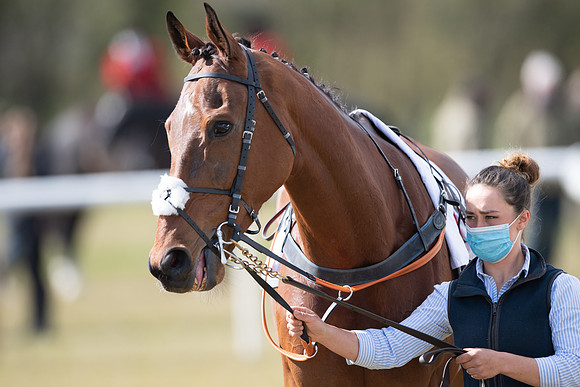 Race 7 - Maiden-12