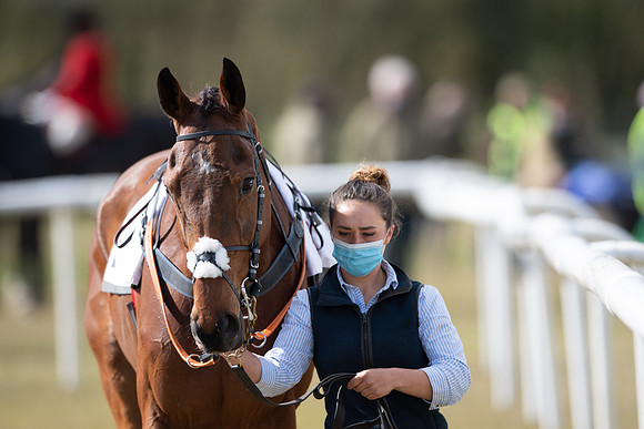 Race 7 - Maiden-11