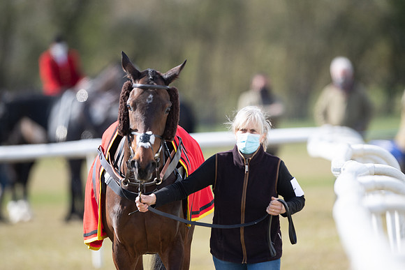 Race 7 - Maiden-6