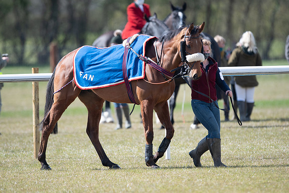 Race 7 - Maiden-2