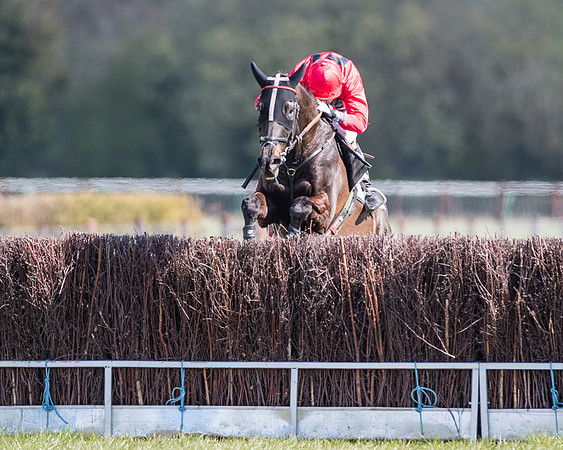 Race 6 - Restricted-57