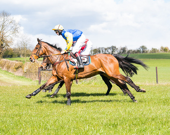 Race 6 - Restricted-39