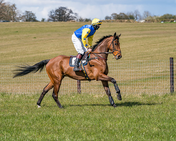 Race 6 - Restricted-22