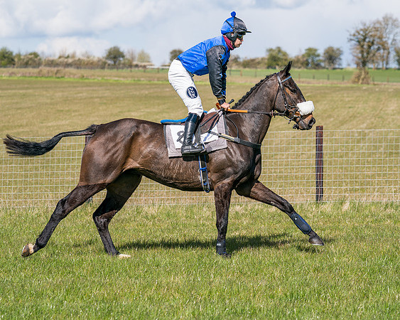Race 6 - Restricted-19