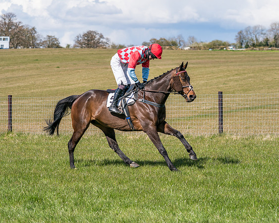 Race 6 - Restricted-8