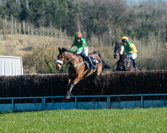 Race 2 - Warwick racecourse conditions  (5 of 122)