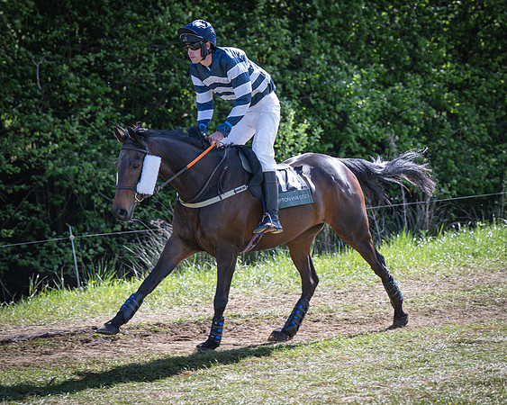 Race 5 - F N Pile and Sons PPORA Novice Riders (3 of 151)