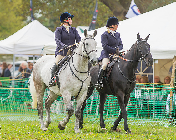 SEHC Novice and Veteran Riders Race