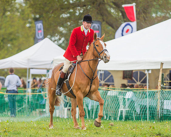 SEHC Novice and Veteran Riders Race