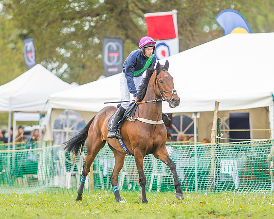 SEHC Novice and Veteran Riders Race