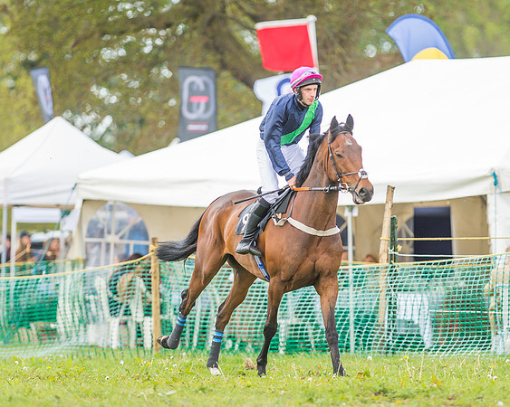 SEHC Novice and Veteran Riders Race