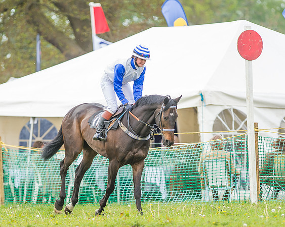 SEHC Novice and Veteran Riders Race