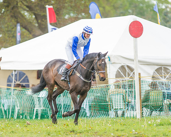 SEHC Novice and Veteran Riders Race