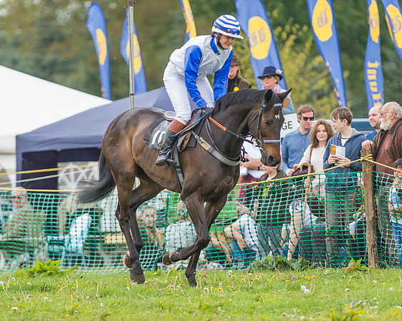 SEHC Novice and Veteran Riders Race