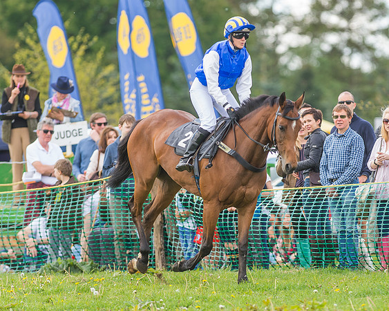SEHC Novice and Veteran Riders Race