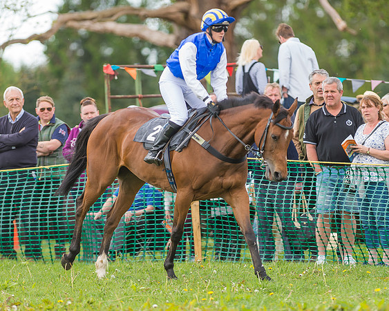 SEHC Novice and Veteran Riders Race