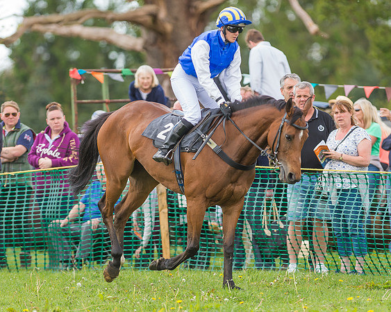 SEHC Novice and Veteran Riders Race