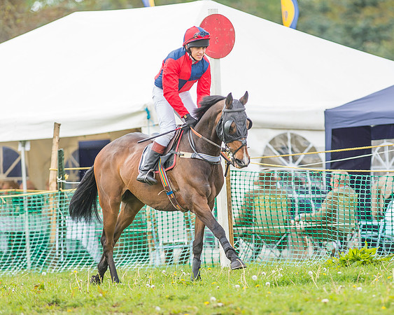 SEHC Novice and Veteran Riders Race