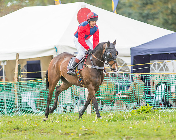 SEHC Novice and Veteran Riders Race