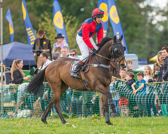 SEHC Novice and Veteran Riders Race
