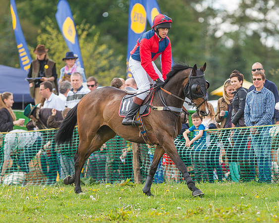 SEHC Novice and Veteran Riders Race