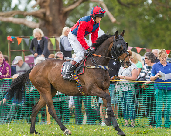 SEHC Novice and Veteran Riders Race