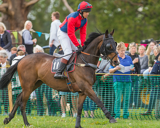 SEHC Novice and Veteran Riders Race