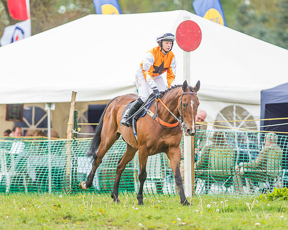 SEHC Novice and Veteran Riders Race
