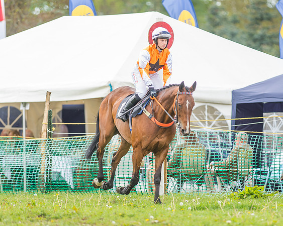 SEHC Novice and Veteran Riders Race