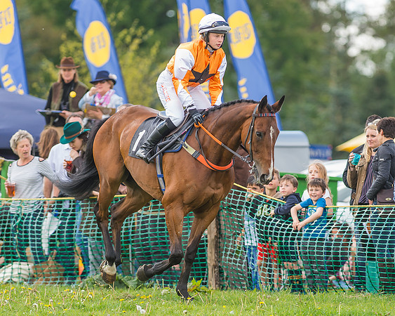 SEHC Novice and Veteran Riders Race
