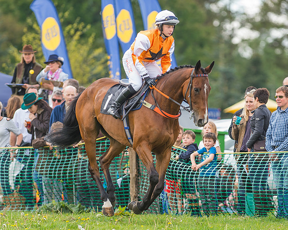 SEHC Novice and Veteran Riders Race