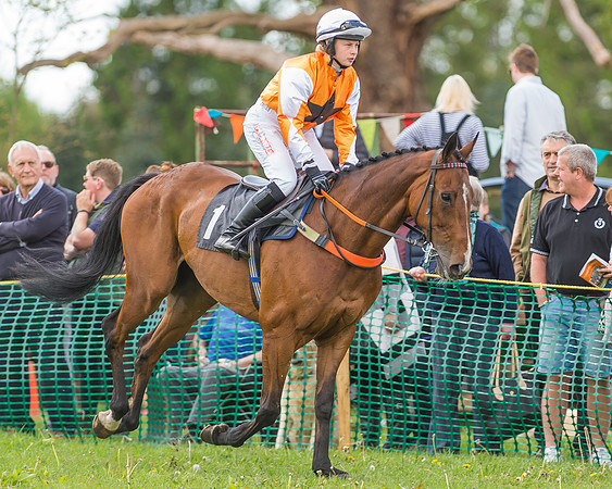 SEHC Novice and Veteran Riders Race